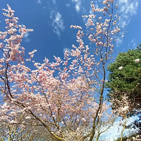 Le Des Falaises Gonneville-sur-Mer