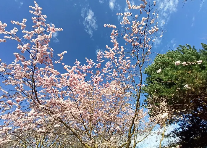 Le Des Falaises Gonneville-sur-Mer